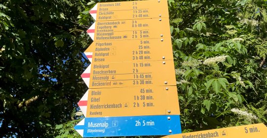 Ausgangspunkt in Niederrickenbach. 2 Stunden für gemütliche Wanderer. 