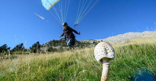 The basic training: Within four days from a pedestrian to a pilot.